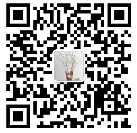 添加微信好友